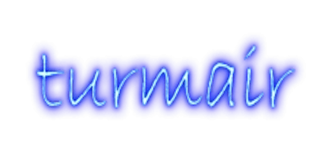Johannes-Turmair-Gymnasium Straubing Logo